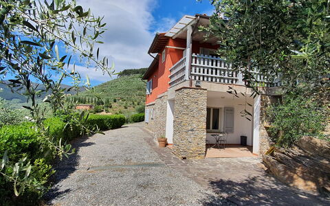 Podere San Martino: Pflanze, Himmel, Wolke, Gebäude, Fenster, Baum, Grundeigentum, Landschaft, Hütte, Fassade