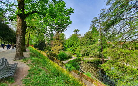 Casina Bella Di Lucca: Blatt, Vegetation, Strauch, Ground, Garten, Gehölz, Weg, Walkway, Botanischer Garten, Wald
