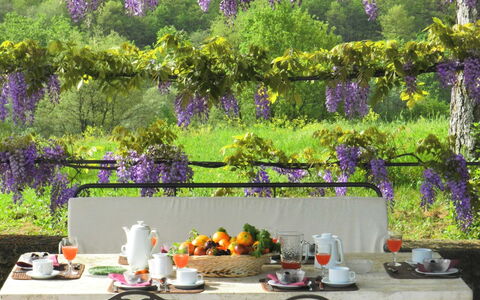 Villa Fabbri: Lila, Lavendel, Garten, Lila, Frühling, Baum, Pflanze, Blume, Tabelle, Terrasse