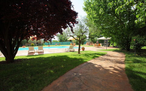 Paolotti: Rasen, Gras, Baum, Schatten, Park, Garten, Walkway, Pflanze, Landscaping, Grundstueck