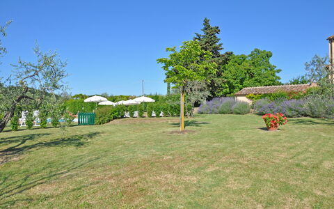 I Glicini: Eigentum, Grundstueck, Gras, Grundeigentum, Wiese, Baum, Haus, Graspflanze, Rasen, Garten