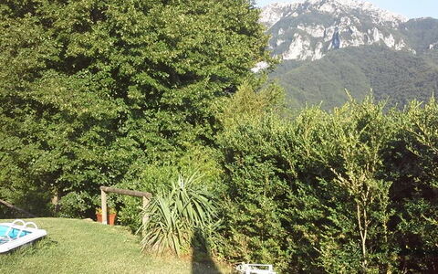 Emilia: Pflanze, Berg, Natürliche Landschaft, Baum, Vegetation, Biome, Immergrün, Gras, Gehölz, Ground
