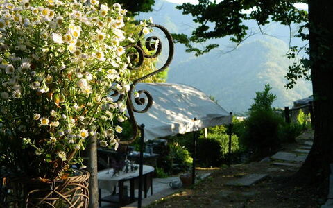 Emilia: Pflanze, Baum, Haus, Gras, Freizeit, Himmel, Landschaft, Blume, Strauch, Bank
