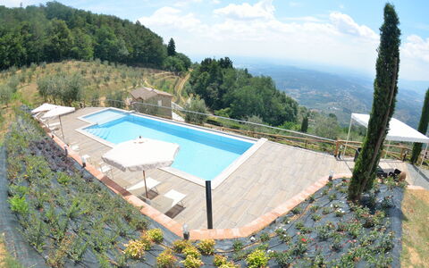 Villa Orchidea