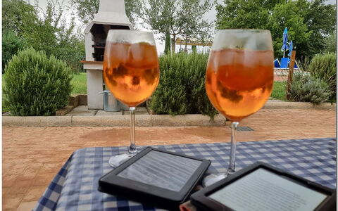 Villetta Di Cortona: Geschirr, Pflanze, Drinkware, Tabelle, Kelche, Barware, Baum, Orange, Stuhl
