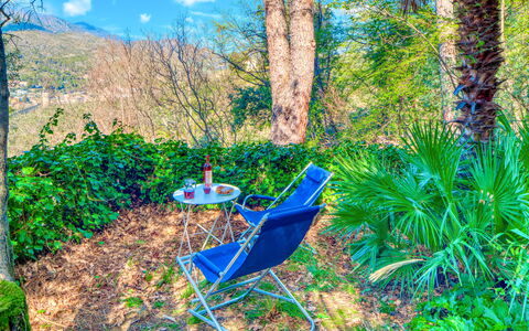 Olivi Del Mesco - Levanto: Vegetation, Majorelle Blue, Baum, Biome, Natürliche Landschaft, Wald, Naturschutzgebiet, Pflanze, Dschungel, Terrestrische Plant
