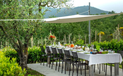 Borgo Gerlino: Regenschirm, Tabelle, Tisch Im Freien, Garten, Garten, Möbel, Gras, Hinterhof, Terrasse, Rasen