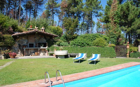 Al Mennucci: Eigentum, Schwimmbad, Grundeigentum, Hinterhof, Haus, Garten, Zuhause, Gras, Freizeit, Estate