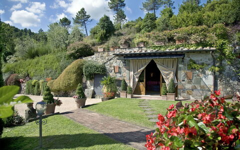 Al Mennucci: Garten, Eigentum, Natürliche Landschaft, Botanischer Garten, Gebäude, Garten, Haus, Estate, Landscaping, Botanik