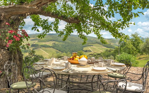 Camporempoli: Möbel, Tabelle, Stuhl, Gartenmöbel, Küche & Esszimmer Tisch, Tisch Im Freien, Tischdecke, Restaurant, Garten
