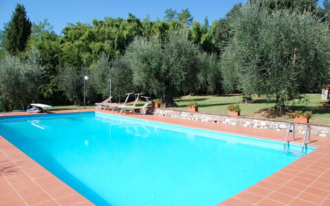 Casa Tonio: Schwimmbad, Eigentum, Freizeit, Grundeigentum, Urlaub, Gras, Baum, Gebäude, Haus, Freizeitzentrum