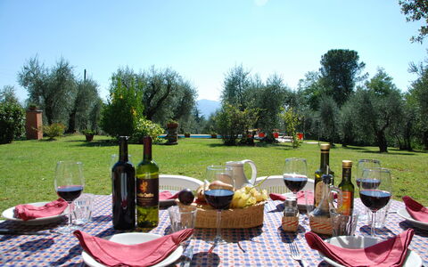 Casa Tonio: Mahlzeit, Picknick, Veranstaltung, Erholung, Tabelle, Fotografie, Tischdecke, Linens, Landschaft, Restaurant