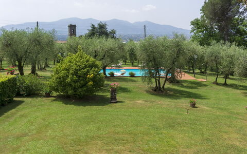 Casa Tonio: Grundstueck, Wiese, Natürliche Landschaft, Eigentum, Gras, Sportveranstaltung, Bergstation, Baum, Landschaft, Wiese