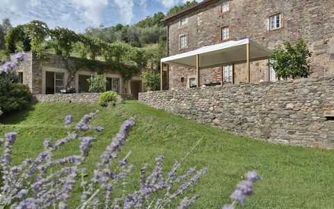 Chiodo: Lavendel, Eigentum, Blume, Haus, Pflanze, Die Architektur, Wand, Gras, Gebäude, Garten