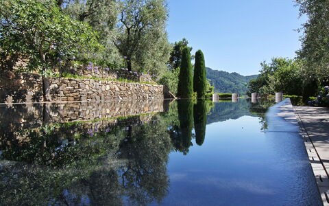 Macennere: Gewässer, Wasserweg, Wasser, Reflexion, Kanal, Fluss, Wasserlauf, Baum, Wasservorräte, Natürliche Landschaft