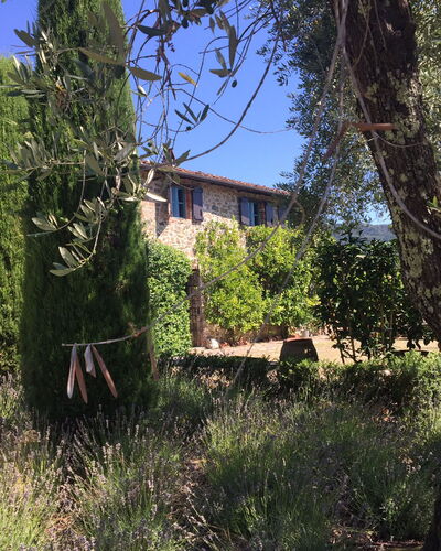 Macennere: Vegetation, Eigentum, Baum, Haus, Himmel, Gebäude, Strauch, Graspflanze, Ländliches Gebiet, Die Architektur