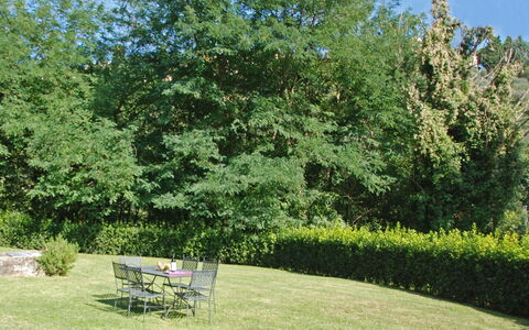 Magrini: Baum, Garten, Eigentum, Natürliche Landschaft, Gras, Strauch, Pflanze, Gehölz, Botanik, Rasen