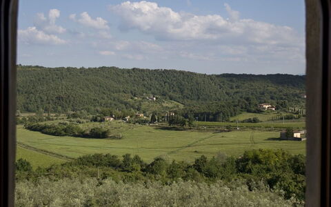 Ricavoli: Vegetation, Fenster, Gras, Pflanzengemeinschaft, Himmel, Graspflanze, Baum, Einfach, Ökoregion, Ländliches Gebiet