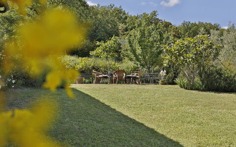 Ricavoli: Natur, Natürliche Landschaft, Gelb, Eigentum, Garten, Gras, Baum, Botanik, Rasen, Landschaft