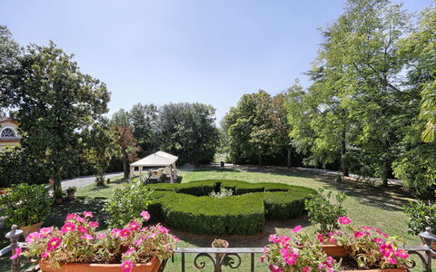 Villa Clara 20: Garten, Eigentum, Botanischer Garten, Botanik, Grundeigentum, Estate, Pflanze, Baum, Garten, Blume
