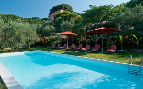 Villa Igea 13: Wasser, Pflanze, Eigentum, Schwimmbad, Himmel, Azurblau, Baum, Gebäude, Schatten, Gewässer