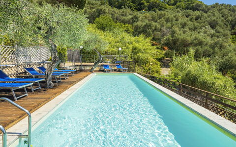 Moneglia 665: Wasser, Eigentum, Pflanze, Schwimmbad, Natur, Azurblau, Blau, Baum, Botanik, Natürliche Landschaft