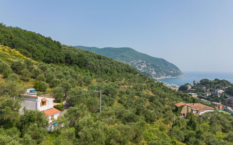Casa Nueva: Bergforms, Berg, Hügel, Vegetation, Natürliche Landschaft, Hochland, Landschaft, Bergstation, Pflanzengemeinschaft, Terrain