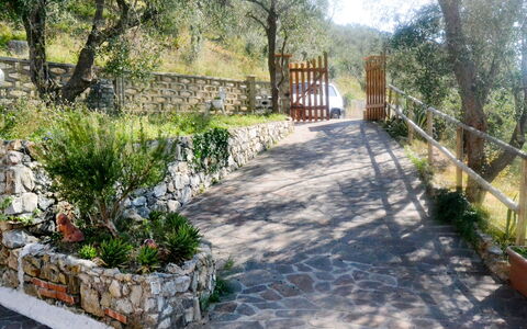 Casa Nueva: Pflanze, Eigentum, Baum, Strassenbelag, Vegetation, Grundstueck, Blume, Natürliche Landschaft, Gras, Schatten