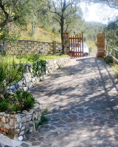 Casa Nueva: Pflanze, Eigentum, Baum, Strassenbelag, Vegetation, Grundstueck, Blume, Natürliche Landschaft, Gras, Schatten
