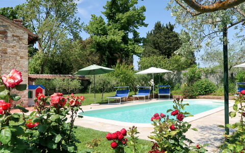 Ambrogetta