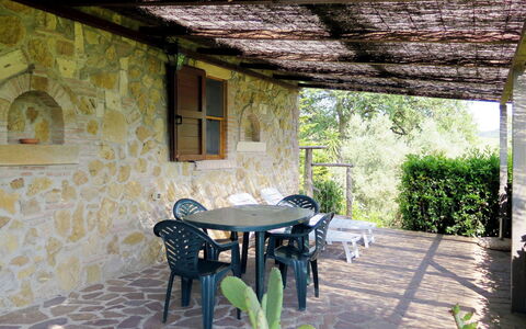 Il Campo