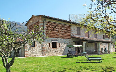 Camaiore 680