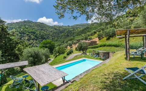 Pescia 626