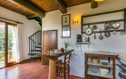 Unterkunft:&nbsp;Podere Cima a Zano Apt.fienile Pca107 626.7