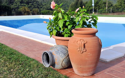 Massa Marittima 641: Pflanze, Blume, Blumentopf, Himmel, Zimmerpflanze, Holz, Wasser, Gartenmöbel, Gras, Schwimmbad