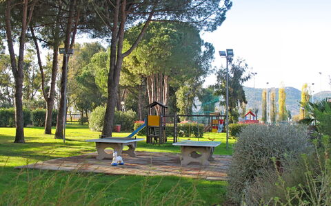 Italia: Natürliche Landschaft, Baum, Öffentlicher Raum, Botanik, Park, Gras, Garten, Freizeit, Erholung, Botanischer Garten