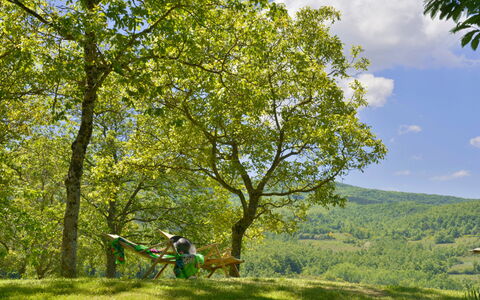Casa Di Lilli: Blatt, Baum, Ast, Grün, Natürlichen Umgebung, Natur, Vegetation, Wiese, Erholung, Kofferraum