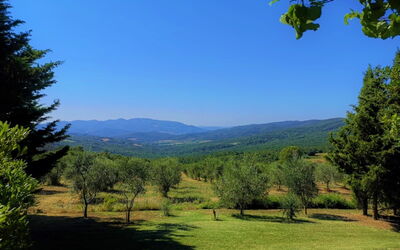 Villa Martina