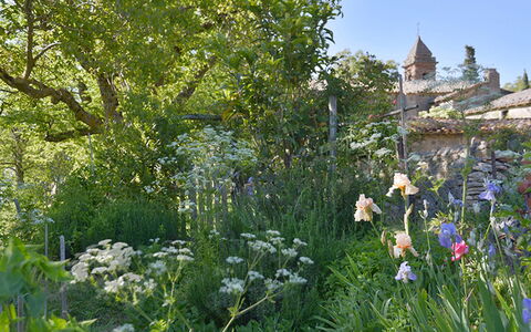 Casa di Giulio: Blume, Vegetation, Strauch, Garten, Pflanzengemeinschaft, Frühling, Ground, Wild, Krautige Pflanze, Landscaping