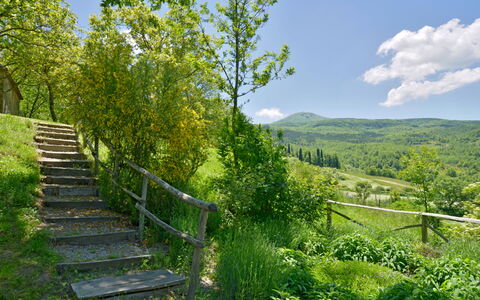 Casa Dell'ambasciatore: Grün, Natur, Natürlichen Umgebung, Natürliche Landschaft, Bergforms, Vegetation, Hügel, Strauch, Sommer, Landschaft