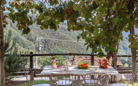 Casa Alice: Baum, Tabelle, Blatt, Freizeit, Möbel, Urlaub, Haus, Grundeigentum, Mahlzeit, Pflanze
