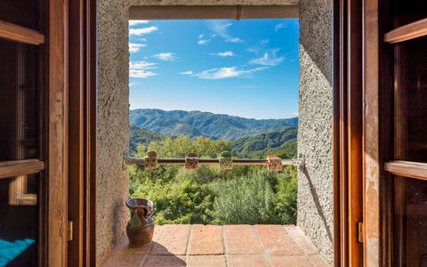 Kiwii: Fenster, Zimmer, Himmel, Berg, Haus, Interior Design, Baum, Zuhause, Gebäude, Daylighting
