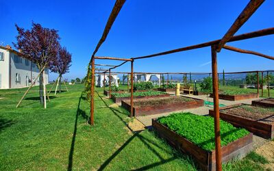 Il Sole Di Vino