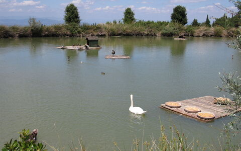 La Rimessa: Gewässer, Wasservorräte, Natürliche Landschaft, Wasser, Teich, Bank, Reservoir, Naturschutzgebiet, See