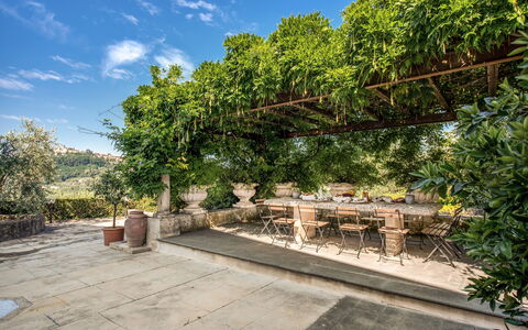 Villa Alfresco: Garten, Schatten, Blumentopf, Flagstone, Outdoor Struktur, Zimmerpflanze