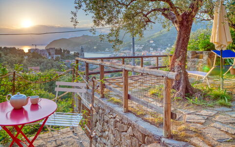 Il Frantoio Del Mesco - Levanto: Pflanze, Baum, Landschaft, Tabelle, Gartenmöbel, Tisch Im Freien, Sonne, Sonnenuntergang, Sonnenaufgang