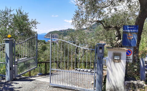 Il Frantoio Del Mesco - Levanto: Baum, Tor, Eisen, Kofferraum, Metall, Zaun, Home Fechten, Nonbuilding Struktur, Maschendraht Fechten, Schild
