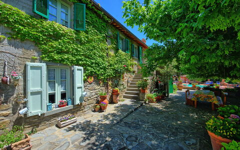 Casale San Martino: Eigentum, Haus, Garten, Gebäude, \Stadt, Zuhause, Garten, Hinterhof, Grundeigentum, Nachbarschaft