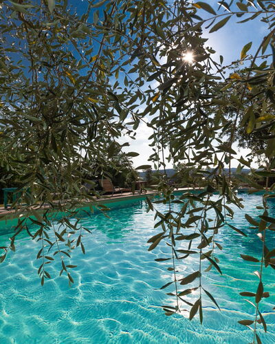 Villa Poggiospinoso: Schwimmbad, Freizeit, Resort, Wasser, Freizeitzentrum, Urlaub, Baum, Hotel, Erholung, Pflanze