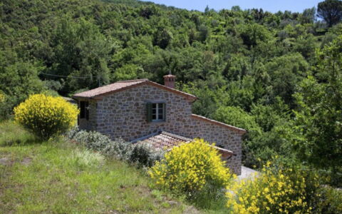 Villa Sole: Pflanze, Himmel, Blume, Natürliche Landschaft, Grundstueck, Baum, Haus, Gras, Hütte, Landschaft
